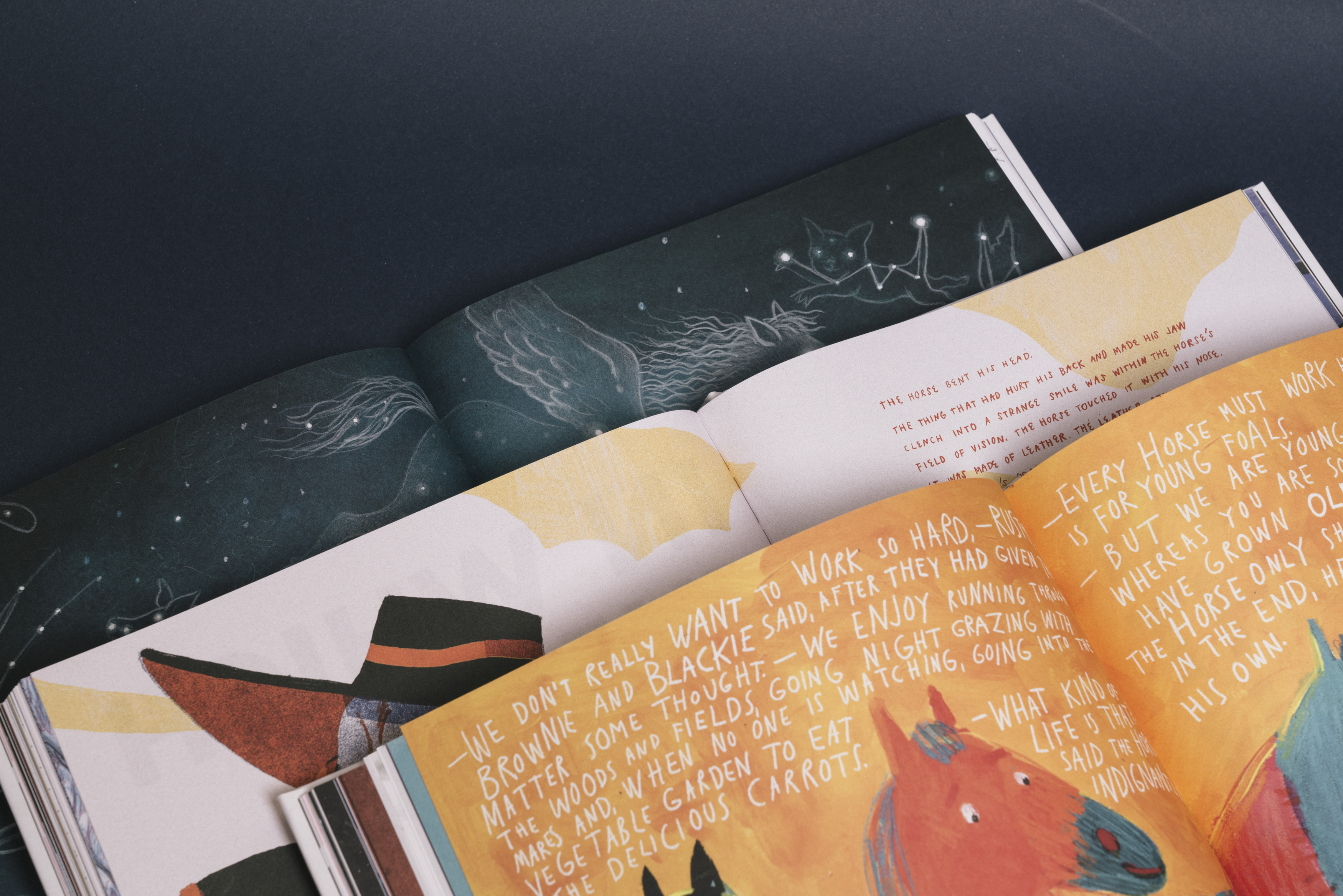 The ”Latvian Literature” platform has issued a large format book of fiction
for children titled “The Horse” (“Zirgs”). The catalogue comprises works
by 20 Latvian writers and book artists of different generations and is