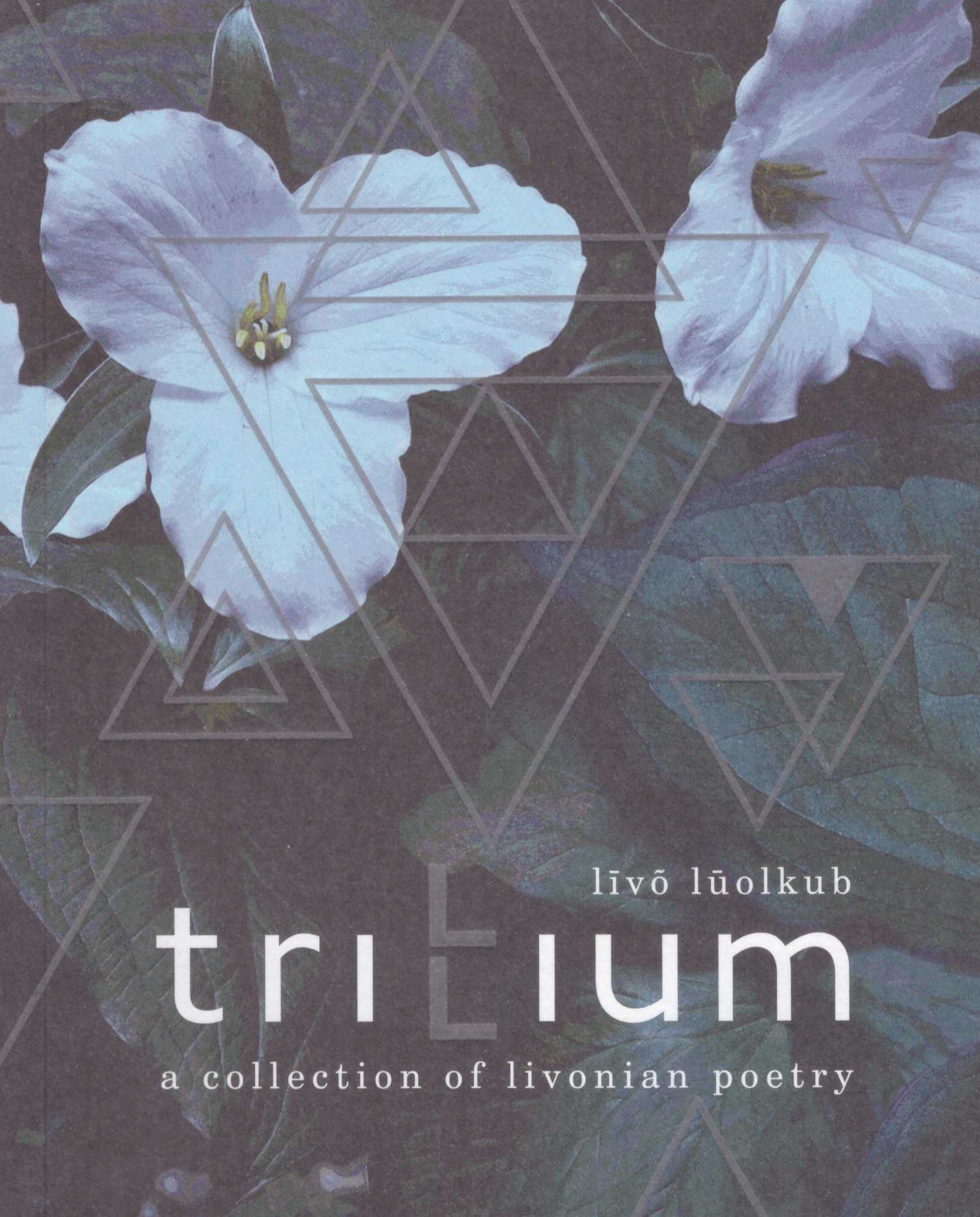  Lass mir das Meer: Liebesgedichte