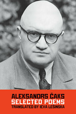  Berniukas, kuris piešė kates